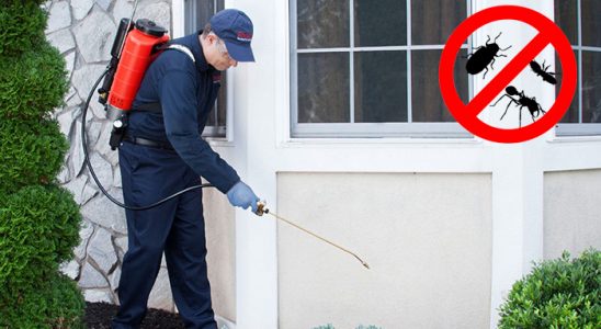 Yomra Bit İlaçlama böcek ilaçlama ve haşere kontrolü — ilaclama-tr.com